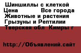 Шиншиллы с клеткой › Цена ­ 8 000 - Все города Животные и растения » Грызуны и Рептилии   . Тверская обл.,Кимры г.